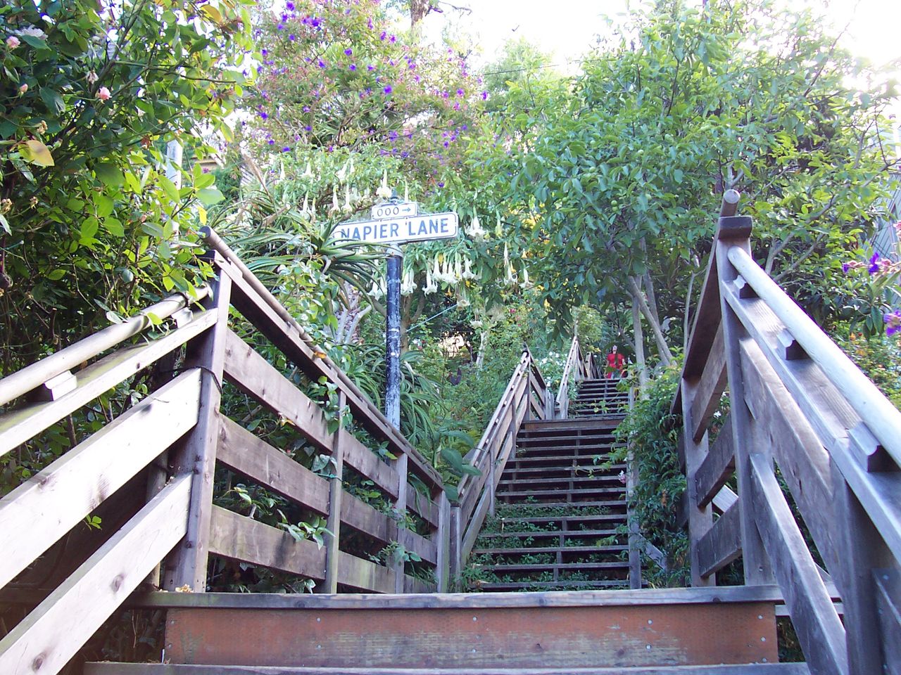 Filbert Steps