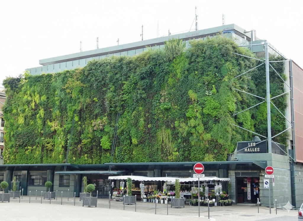 Les Halles Market: The Belly of Avignon